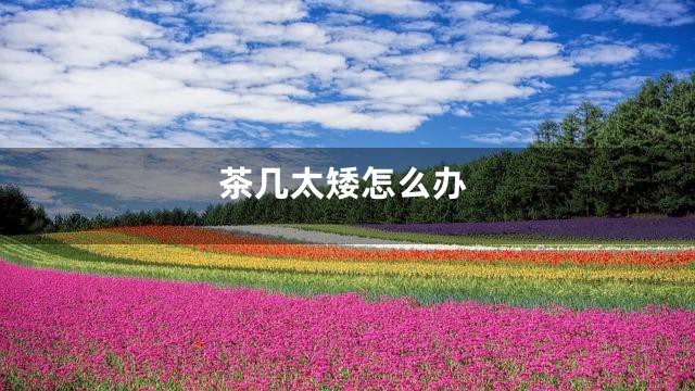 茶几太矮怎么办