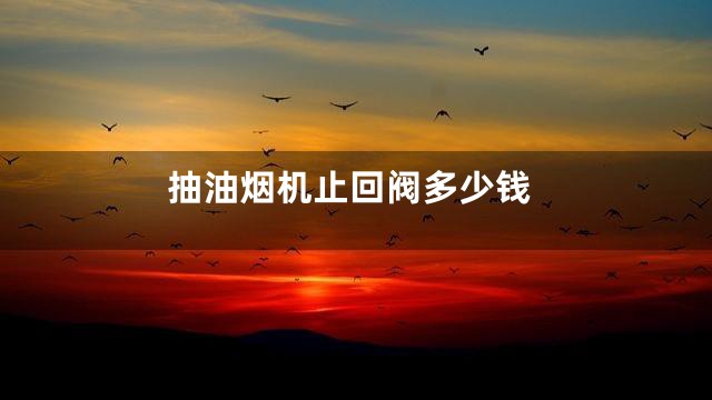 抽油烟机止回阀多少钱