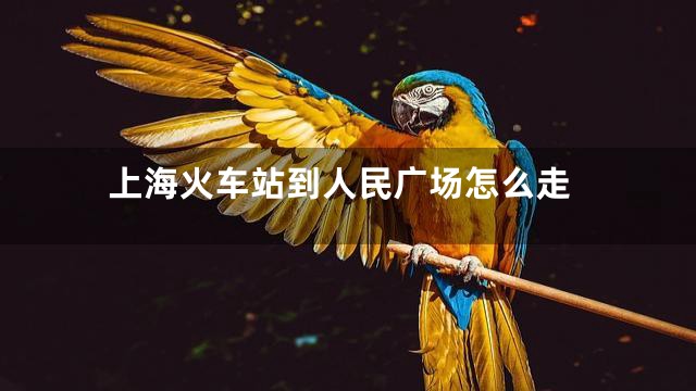 上海火车站到人民广场怎么走