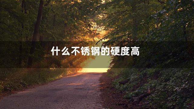 什么不锈钢的硬度高