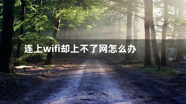 连上wifi却上不了网怎么办
