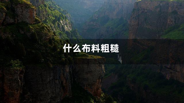 什么布料粗糙
