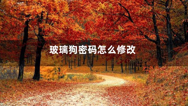 玻璃狗密码怎么修改