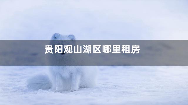 贵阳观山湖区哪里租房