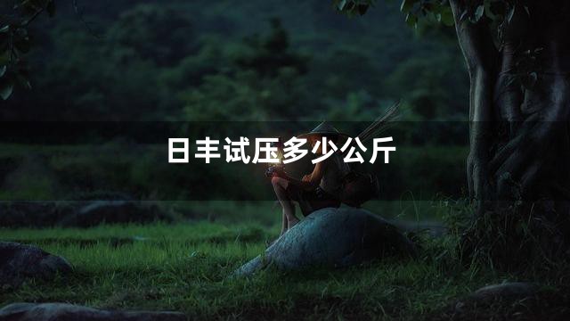日丰试压多少公斤