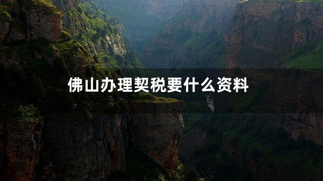 佛山办理契税要什么资料