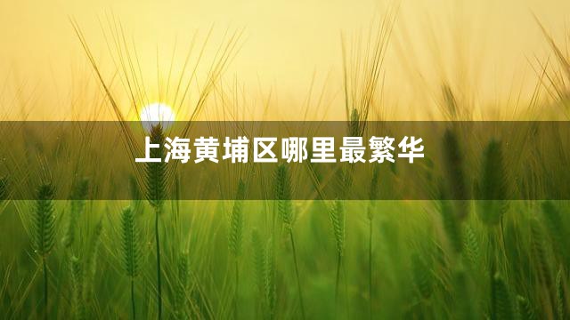 上海黄埔区哪里最繁华