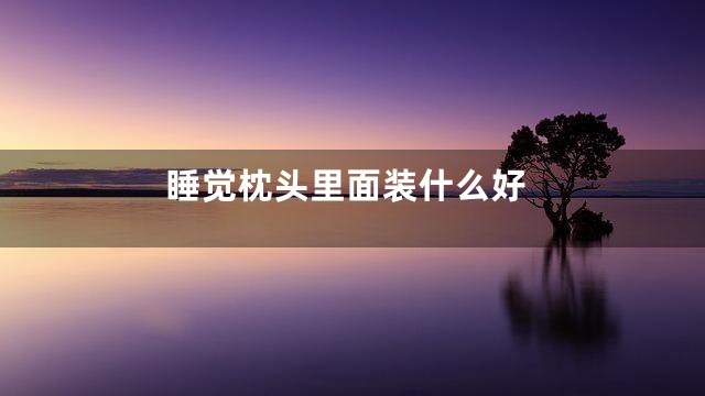 睡觉枕头里面装什么好