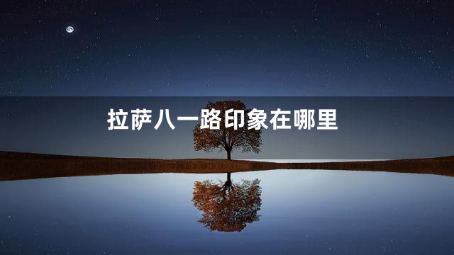 拉萨八一路印象在哪里