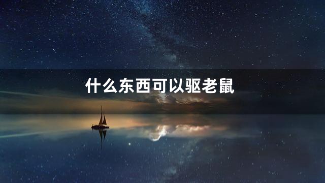 什么东西可以驱老鼠
