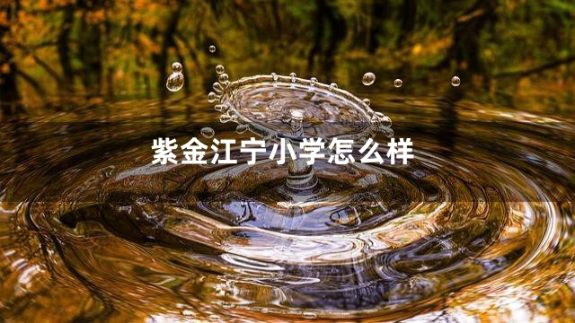 紫金江宁小学怎么样