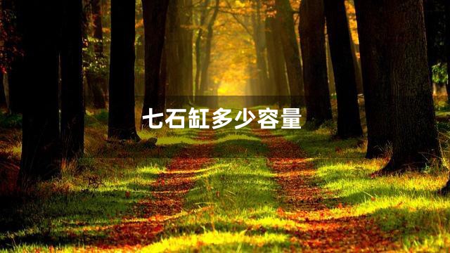 七石缸多少容量