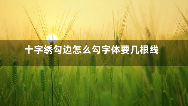 十字绣勾边怎么勾字体要几根线