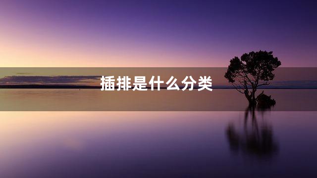 插排是什么分类