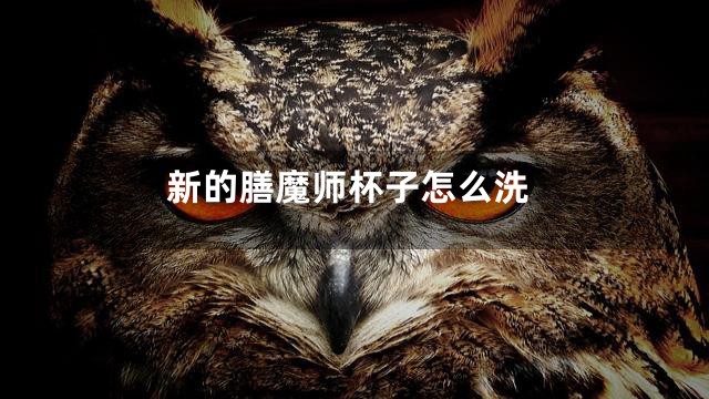 新的膳魔师杯子怎么洗