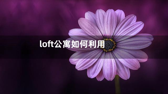 loft公寓如何利用