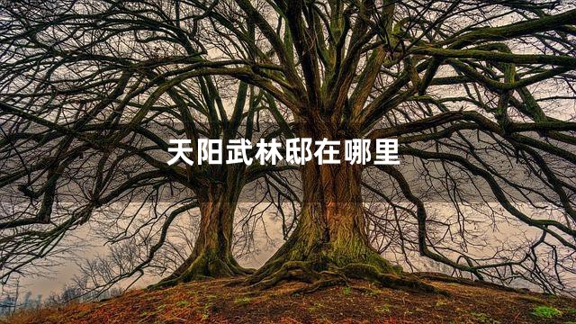 天阳武林邸在哪里