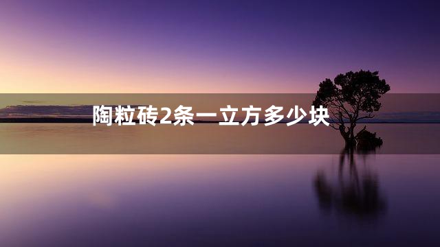 陶粒砖2条一立方多少块