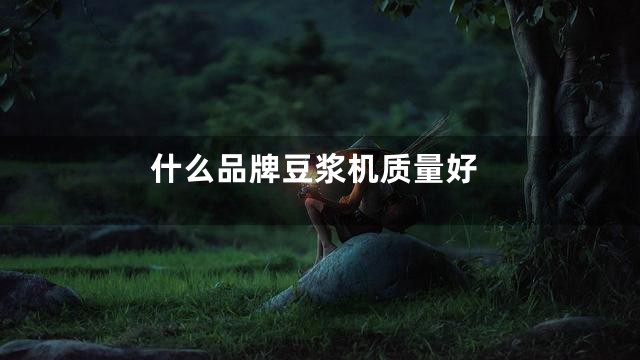什么品牌豆浆机质量好