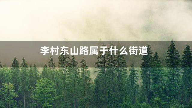 李村东山路属于什么街道