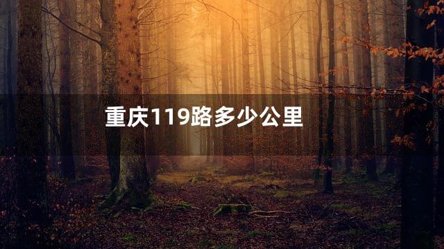 重庆119路多少公里