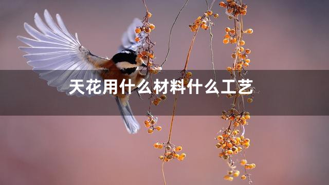 天花用什么材料什么工艺