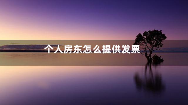 个人房东怎么提供发票