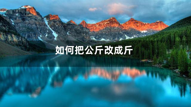 如何把公斤改成斤