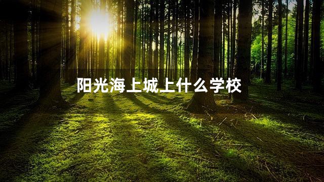 阳光海上城上什么学校