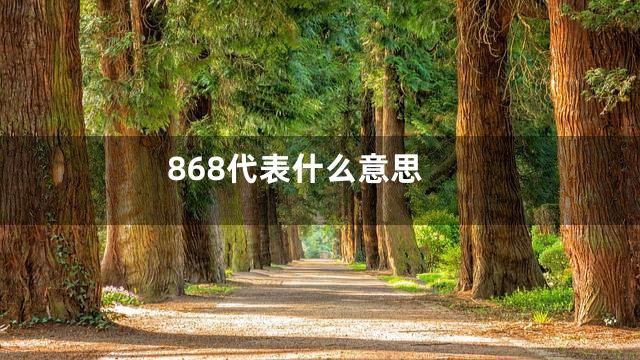 868代表什么意思