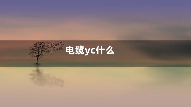 电缆yc什么