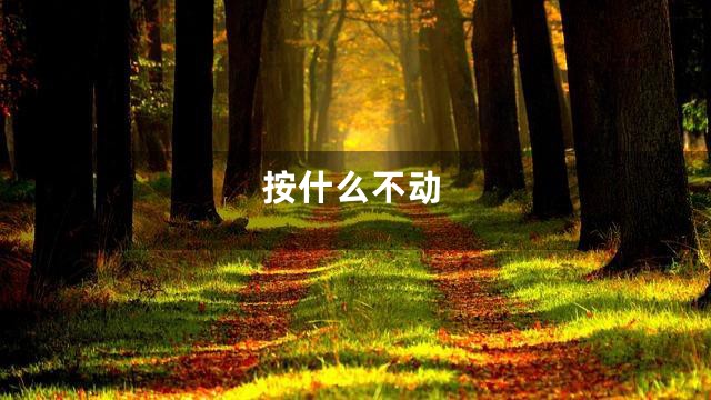 按什么不动