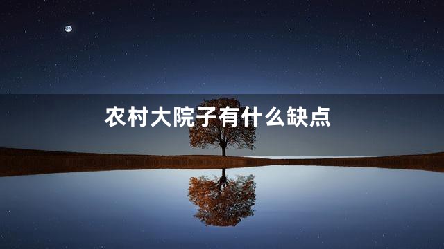 农村大院子有什么缺点