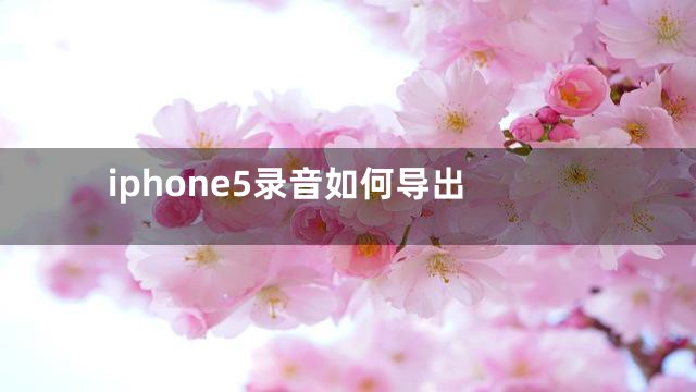 iphone5录音如何导出