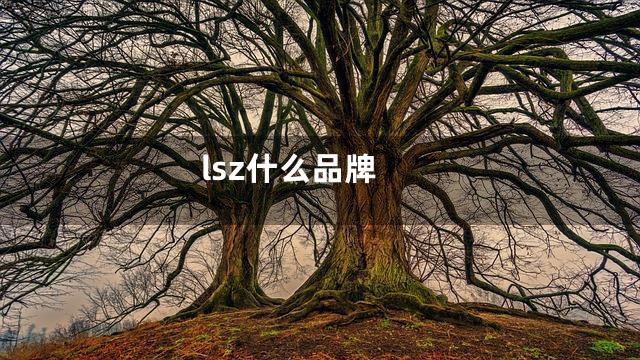 lsz什么品牌