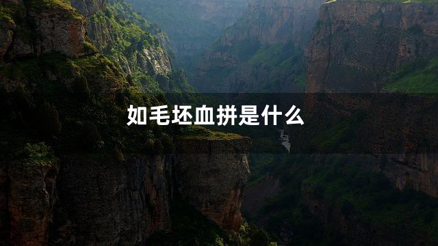 如毛坯血拼是什么