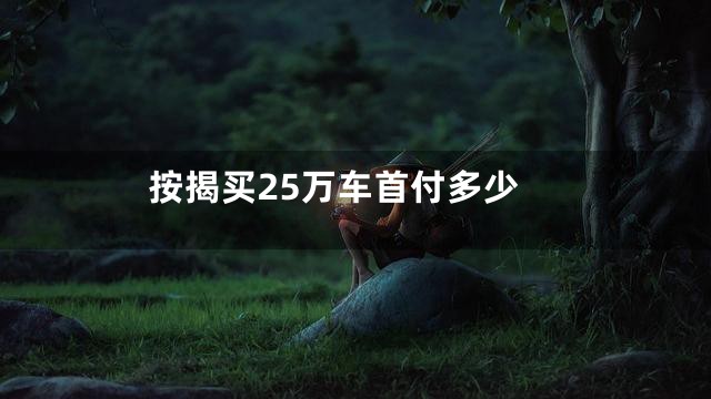 按揭买25万车首付多少