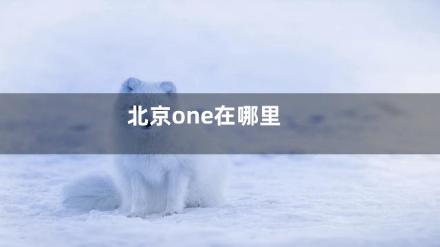 北京one在哪里