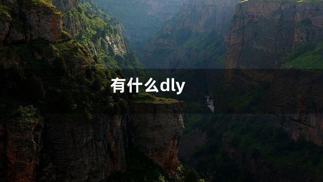 有什么dly