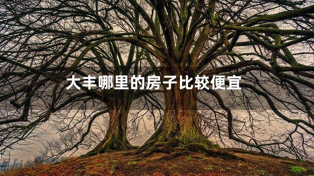 大丰哪里的房子比较便宜