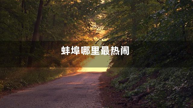 蚌埠哪里最热闹