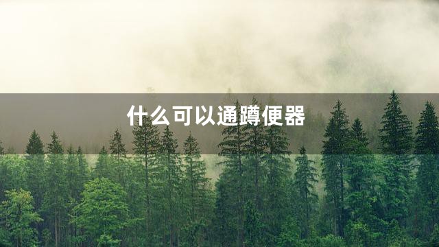 什么可以通蹲便器