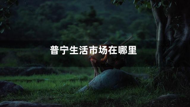 普宁生活市场在哪里