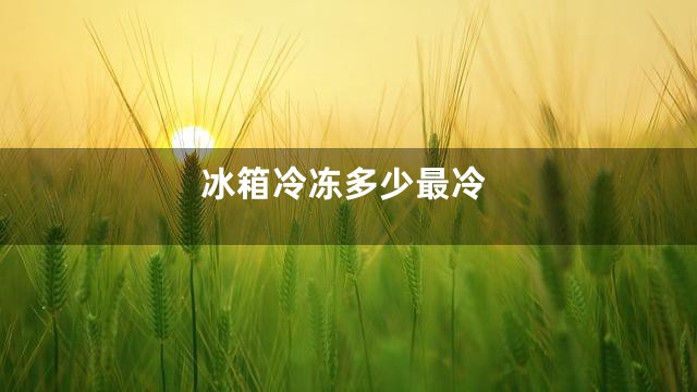 冰箱冷冻多少最冷