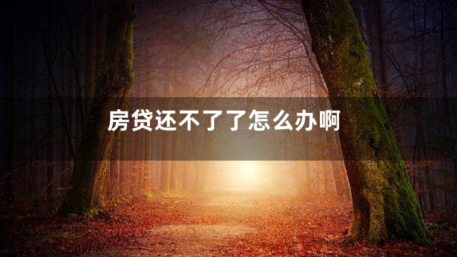 房贷还不了了怎么办啊