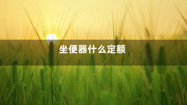 坐便器什么定额