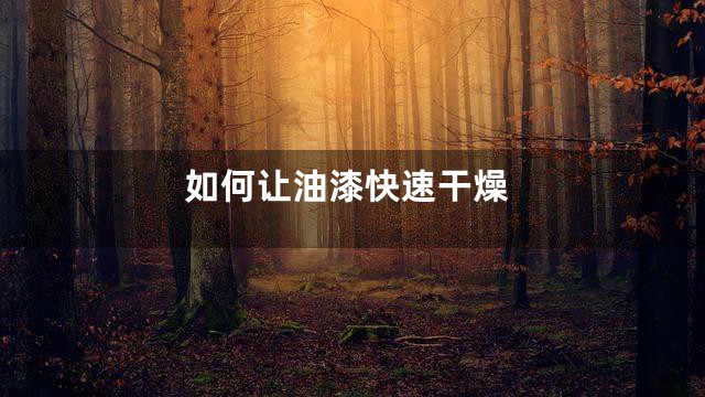 如何让油漆快速干燥