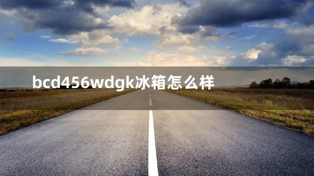 bcd456wdgk冰箱怎么样