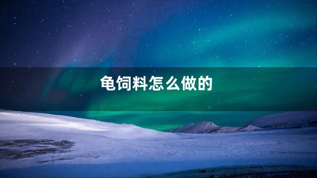 龟饲料怎么做的