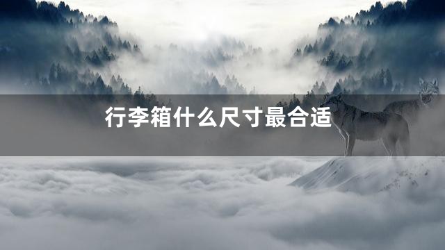 行李箱什么尺寸最合适